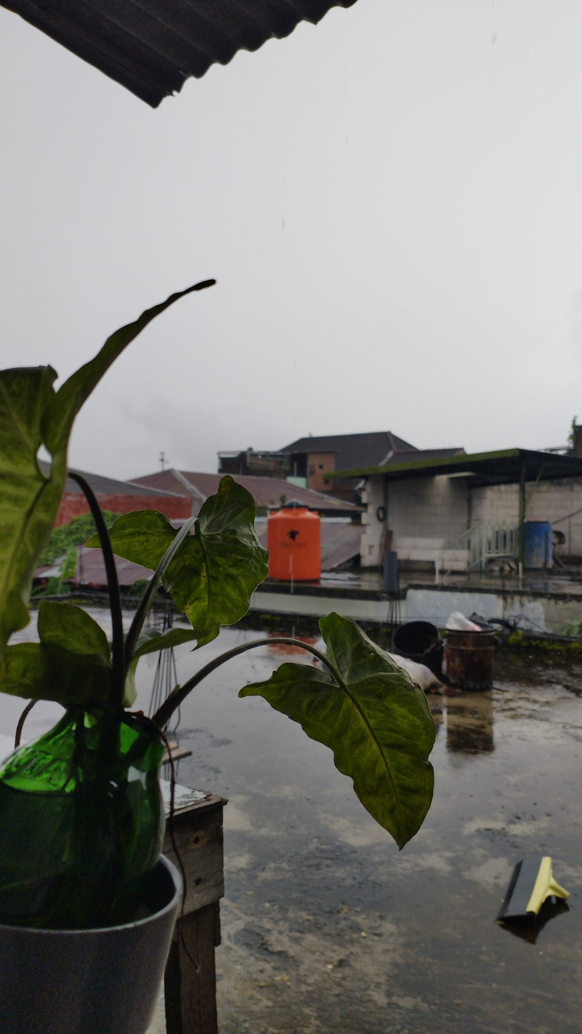 Kontrakan Sipil Unisma (Cemara Reborn) — kontrakan di malang