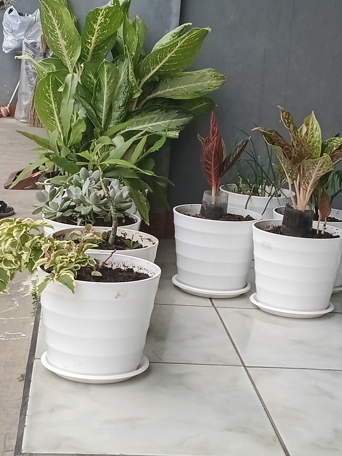 Kontrakan Hj. Iskandar — kontrakan di bandung