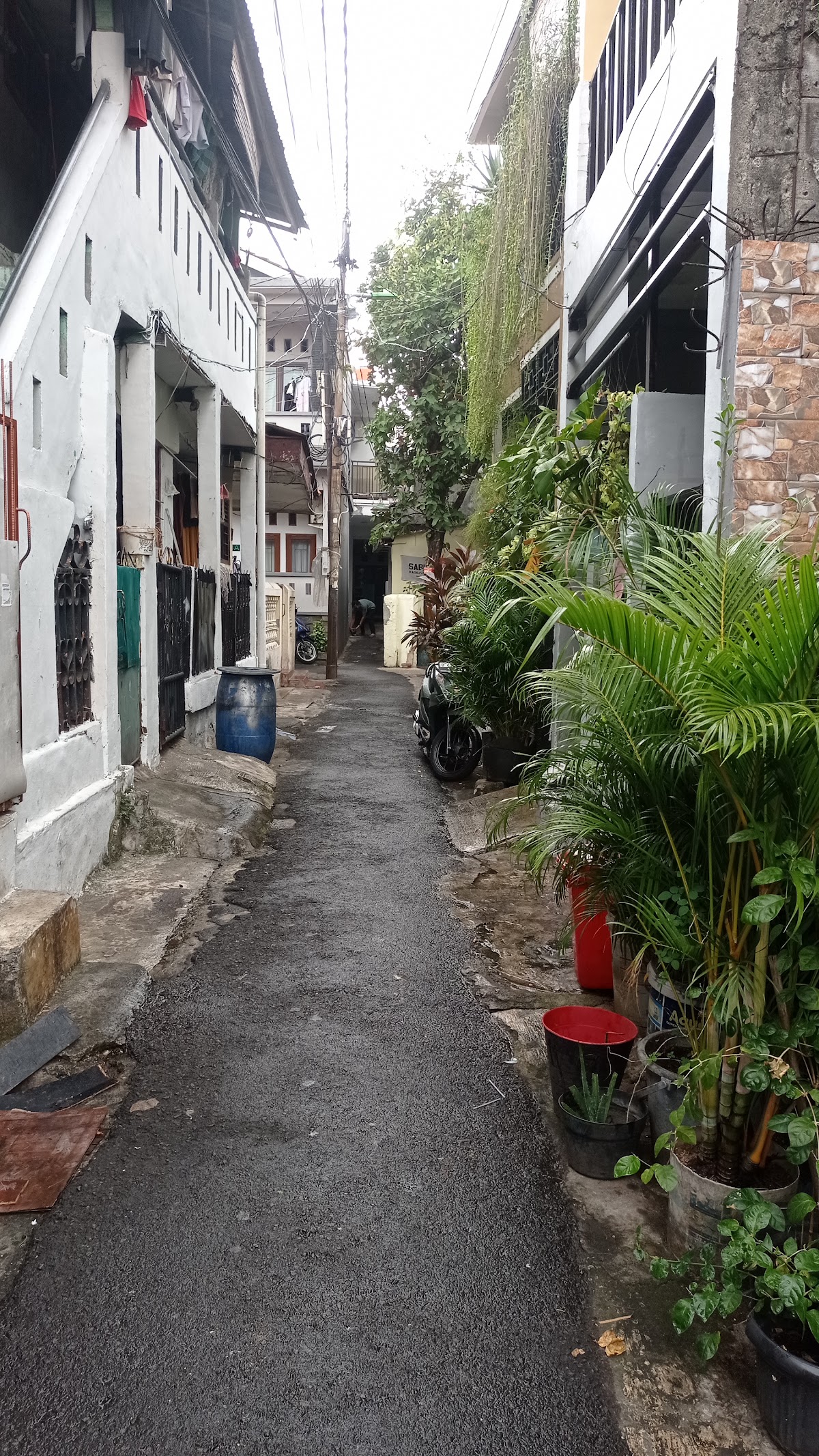 Properti sewa Indonesia