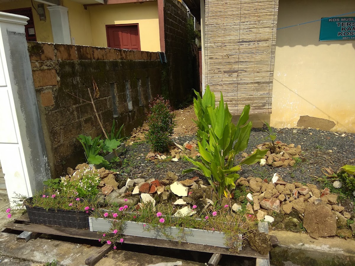 Properti sewa Indonesia