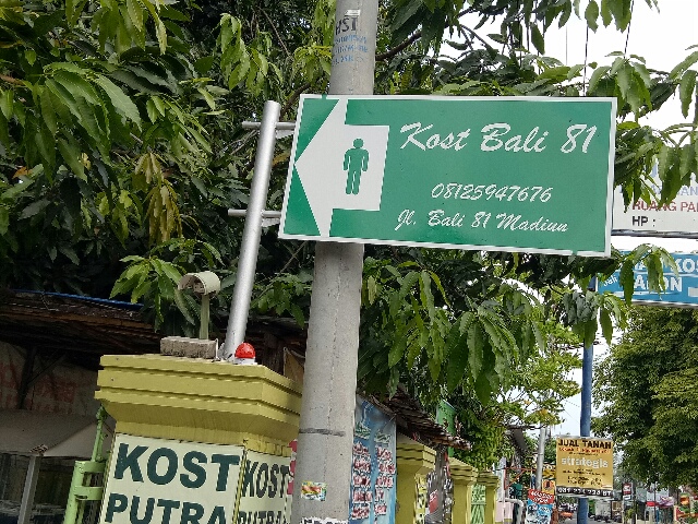 Kost Putra Bali 81 — kos di bali
