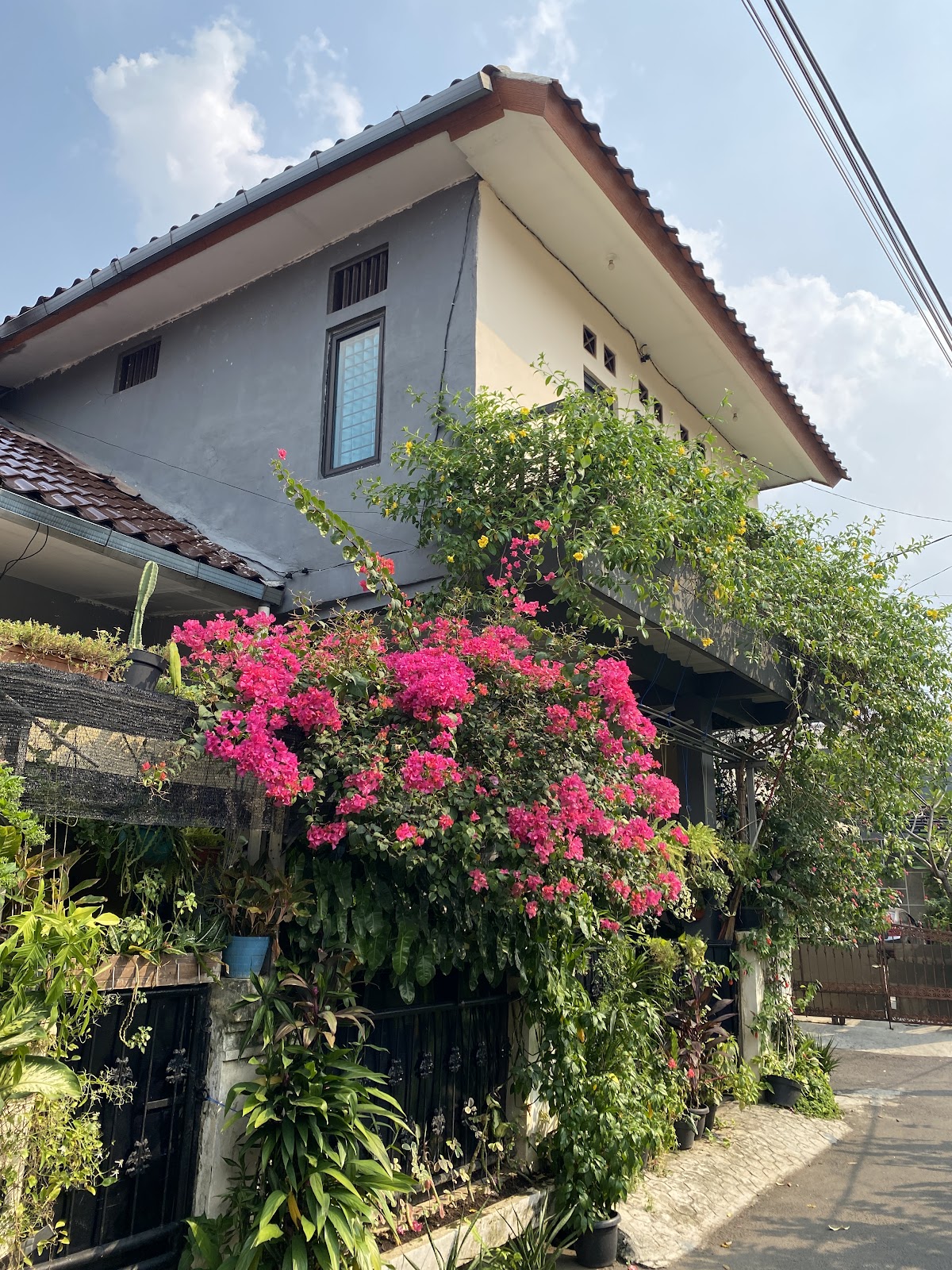 Properti sewa Indonesia