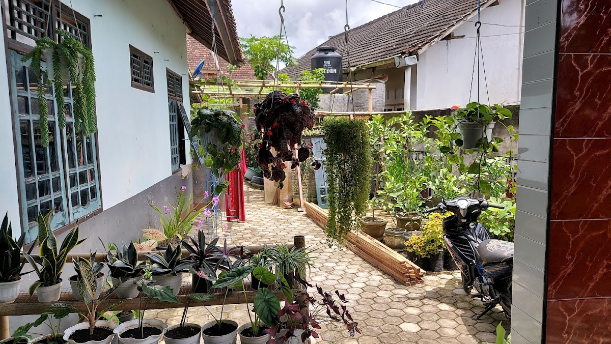 Properti sewa Indonesia
