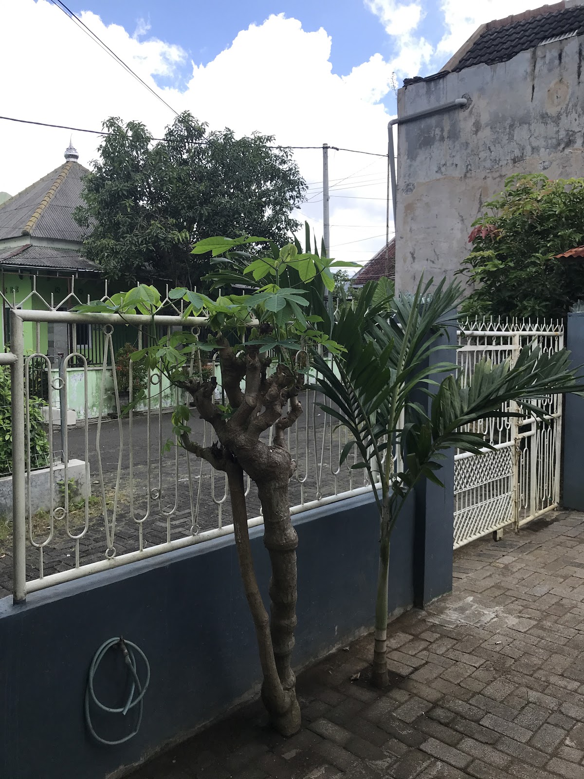Properti sewa Indonesia