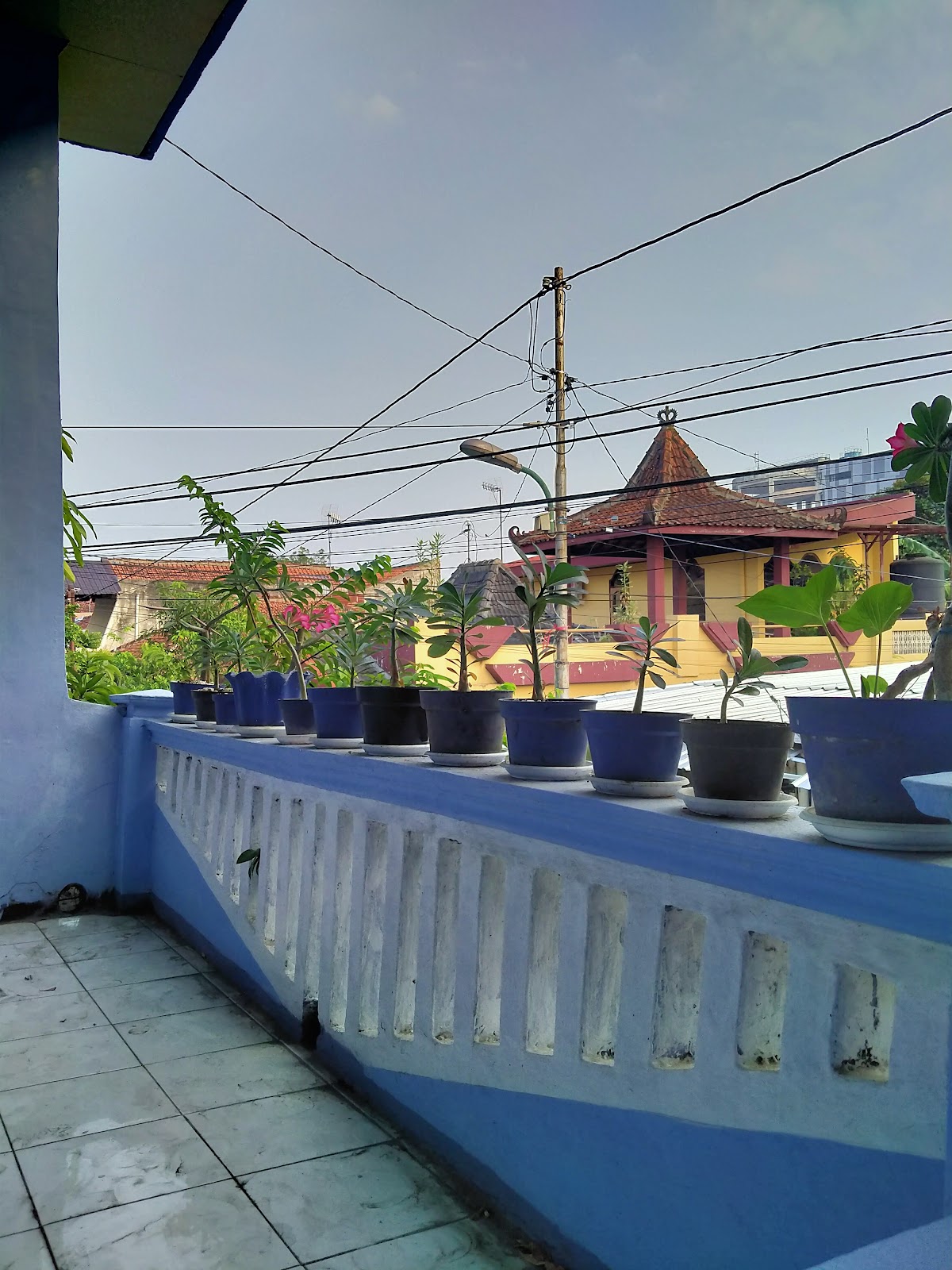 Kost Biru Pengkolan Sapen Yogyakarta (Putra Muslim) — kos di yogyakarta