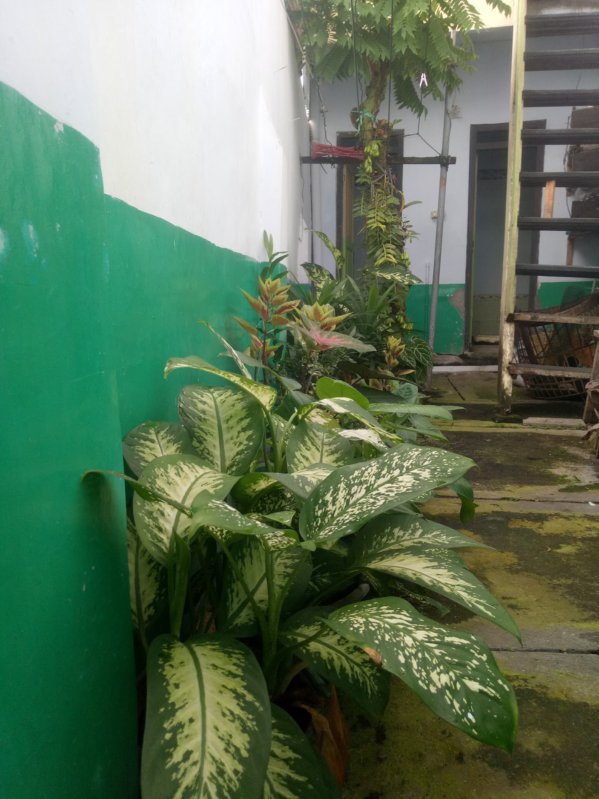 Kost Putra "Al - Amanat" — kos di semarang