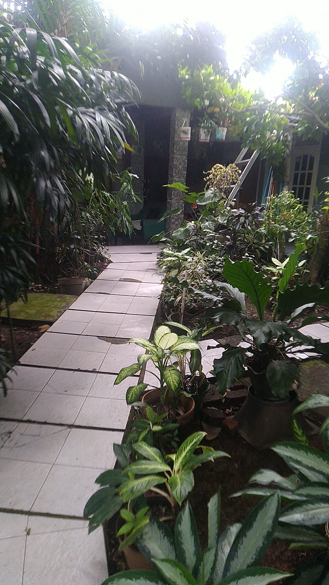 Properti sewa Indonesia