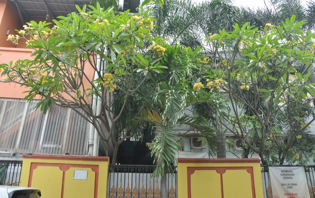 Properti sewa Indonesia