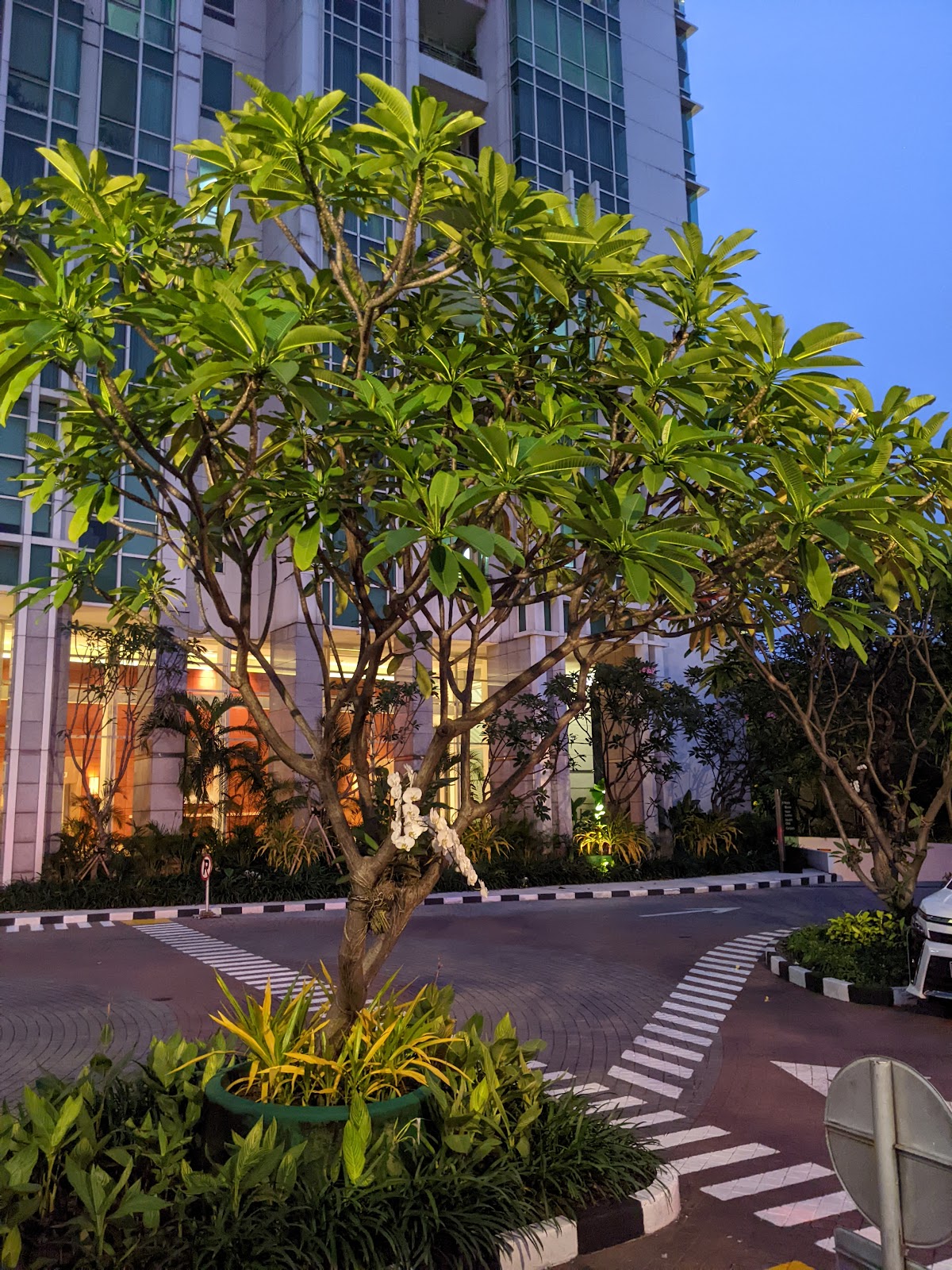 The Peak at Sudirman