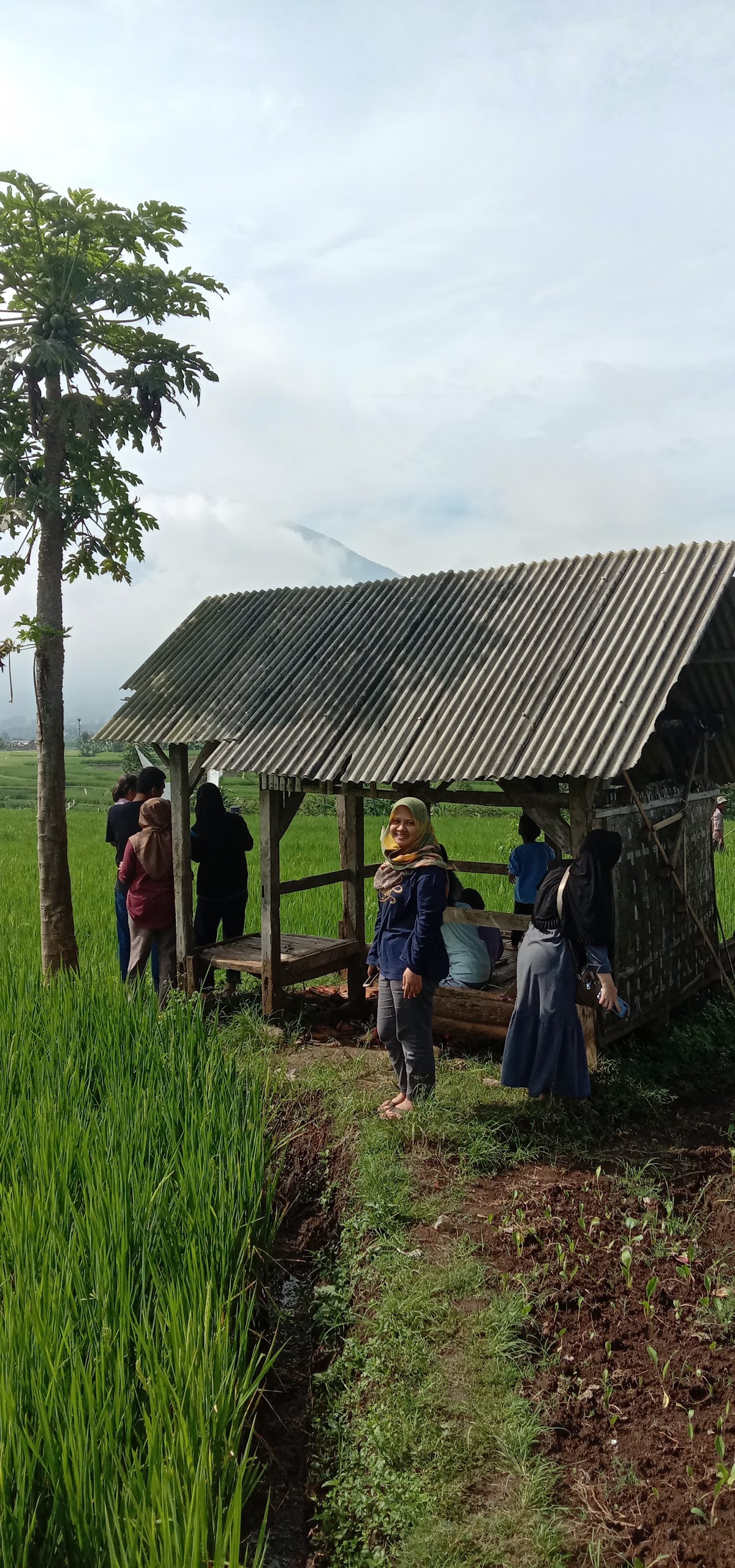 Properti sewa Indonesia