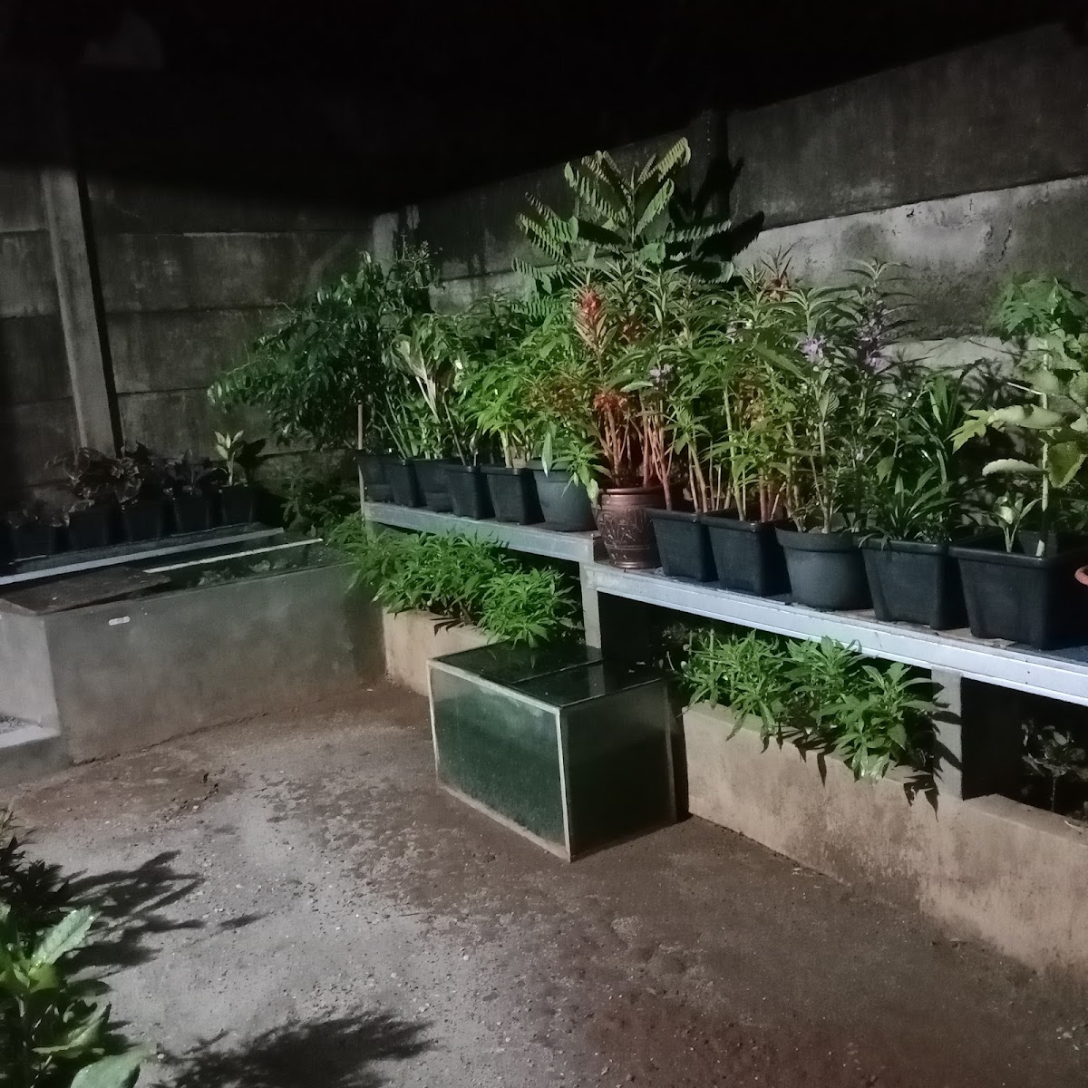 Kontrakan Kampung Bulak Cinangka Sawangan Depok — kontrakan di depok