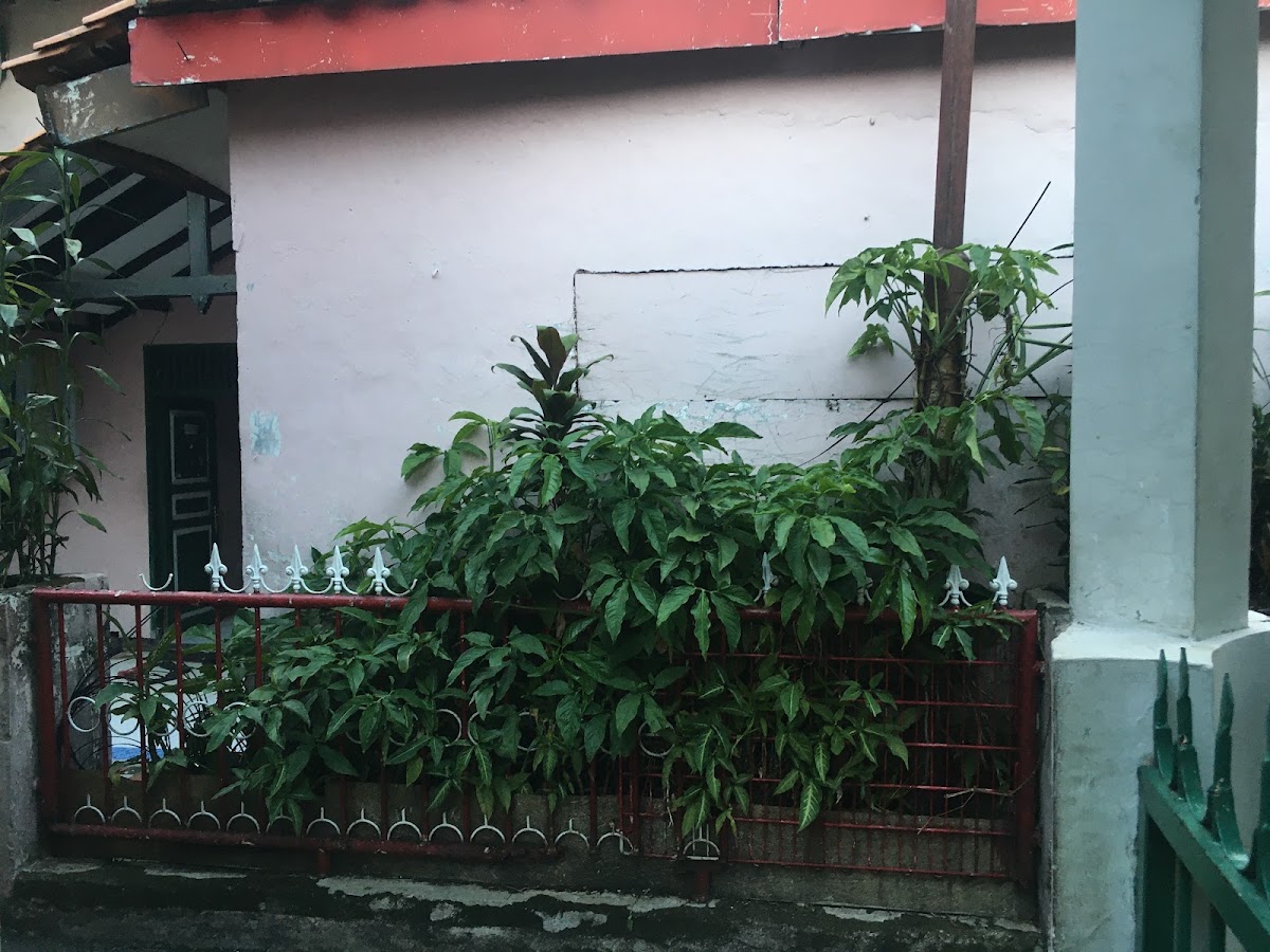 Properti sewa Indonesia