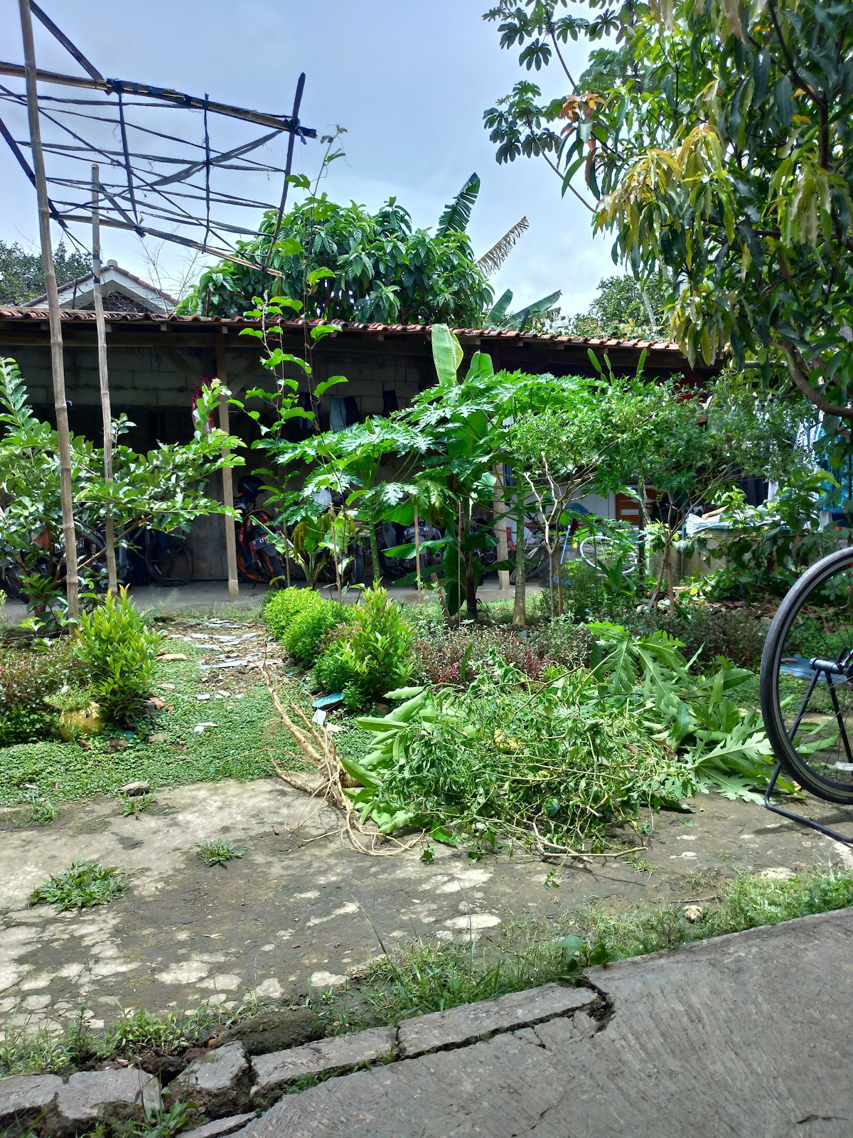 Properti sewa Indonesia