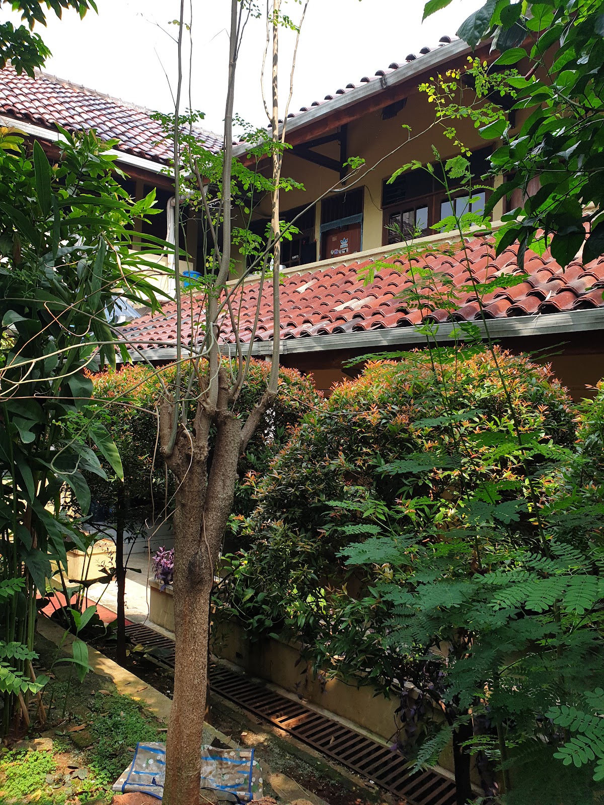Kost Studio 25 Kost Palmerah Kemanggisan Jakarta Barat