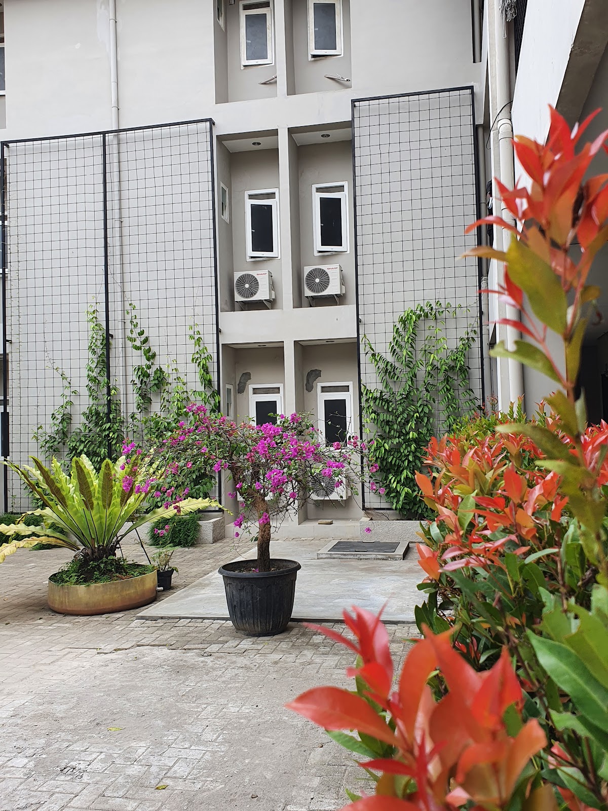 Properti sewa Indonesia