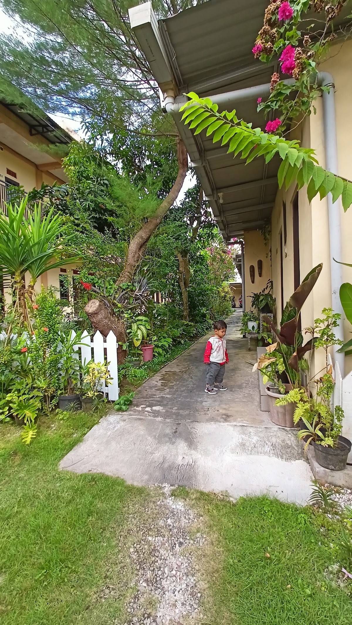 Properti sewa Indonesia