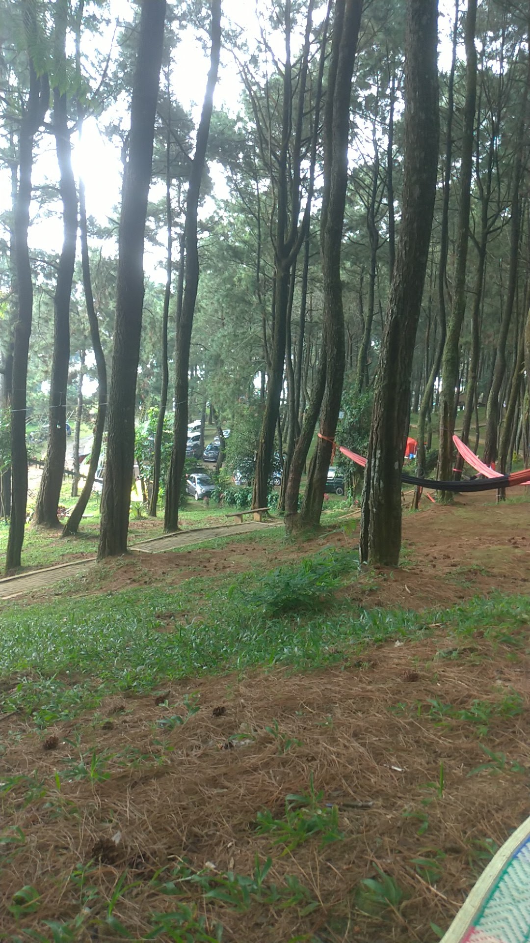 Properti sewa Indonesia