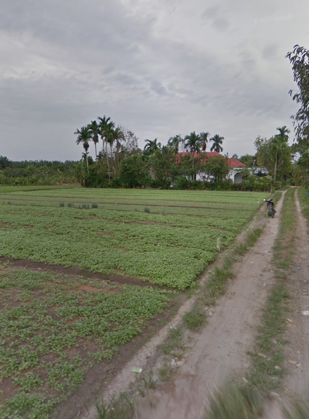 Properti sewa Indonesia