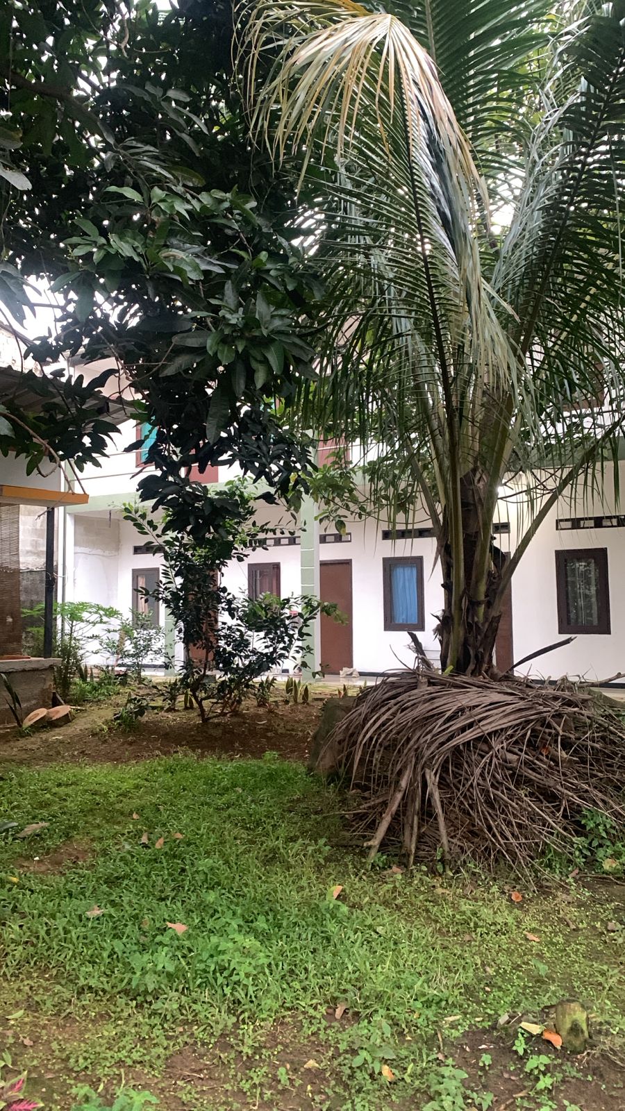 Properti sewa Indonesia