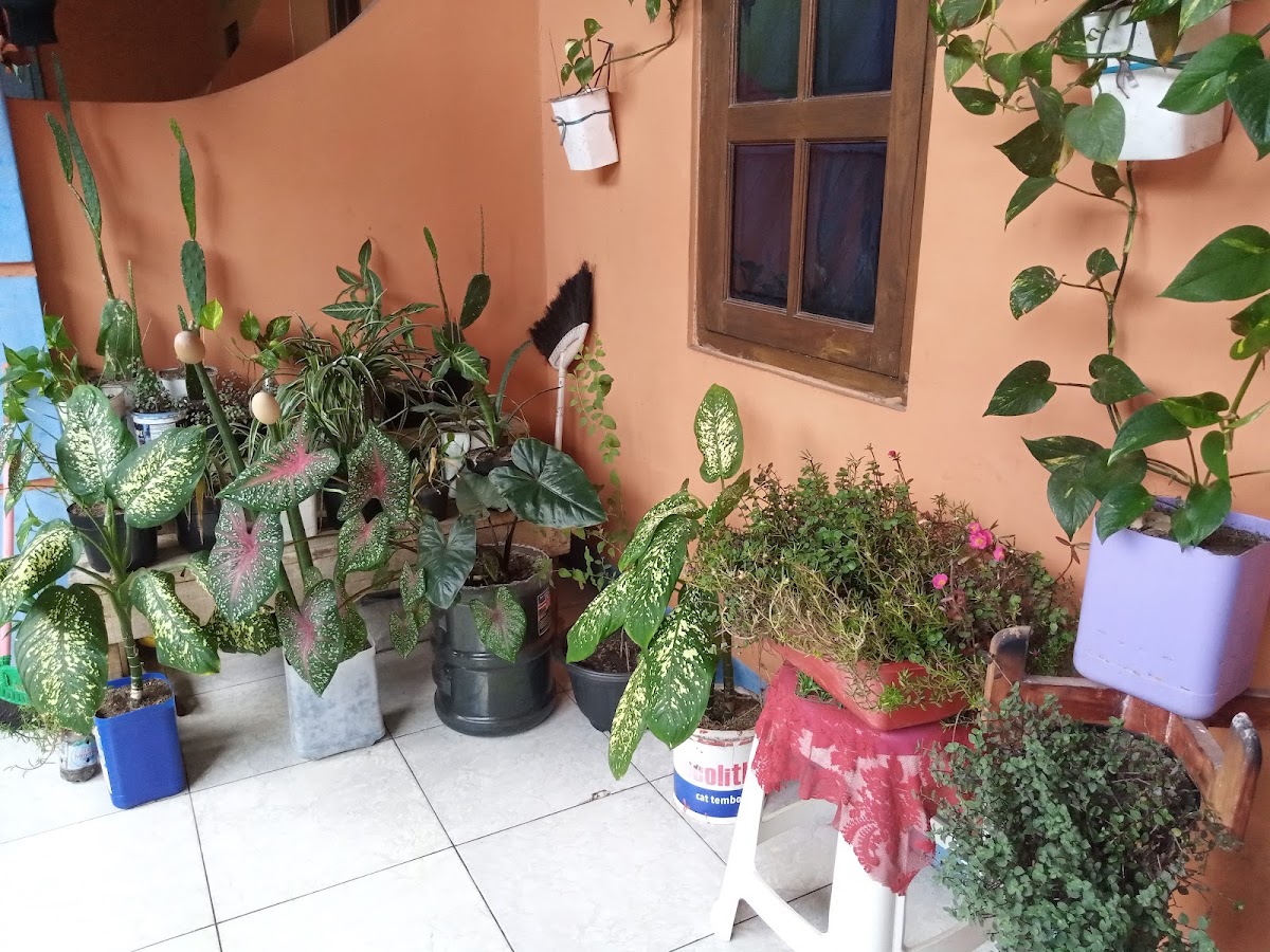 Properti sewa Indonesia