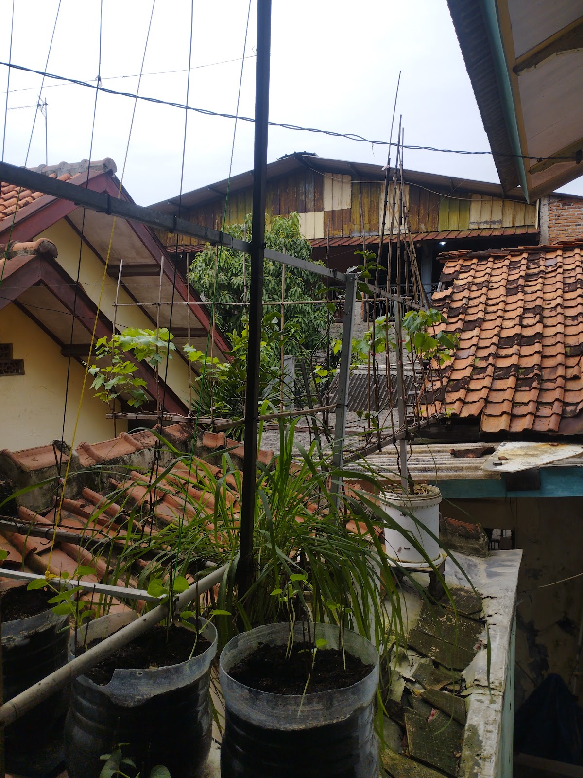 Properti sewa Indonesia