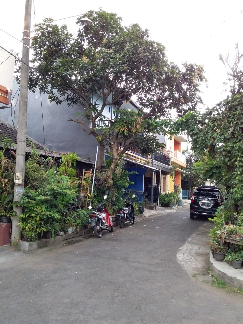 Kost Putri MURAH 300rban - foto properti sewa
