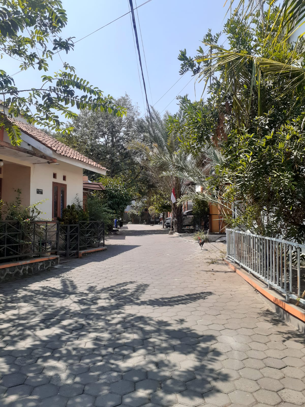 Kontrakan Rumah Jogja — kontrakan di yogyakarta