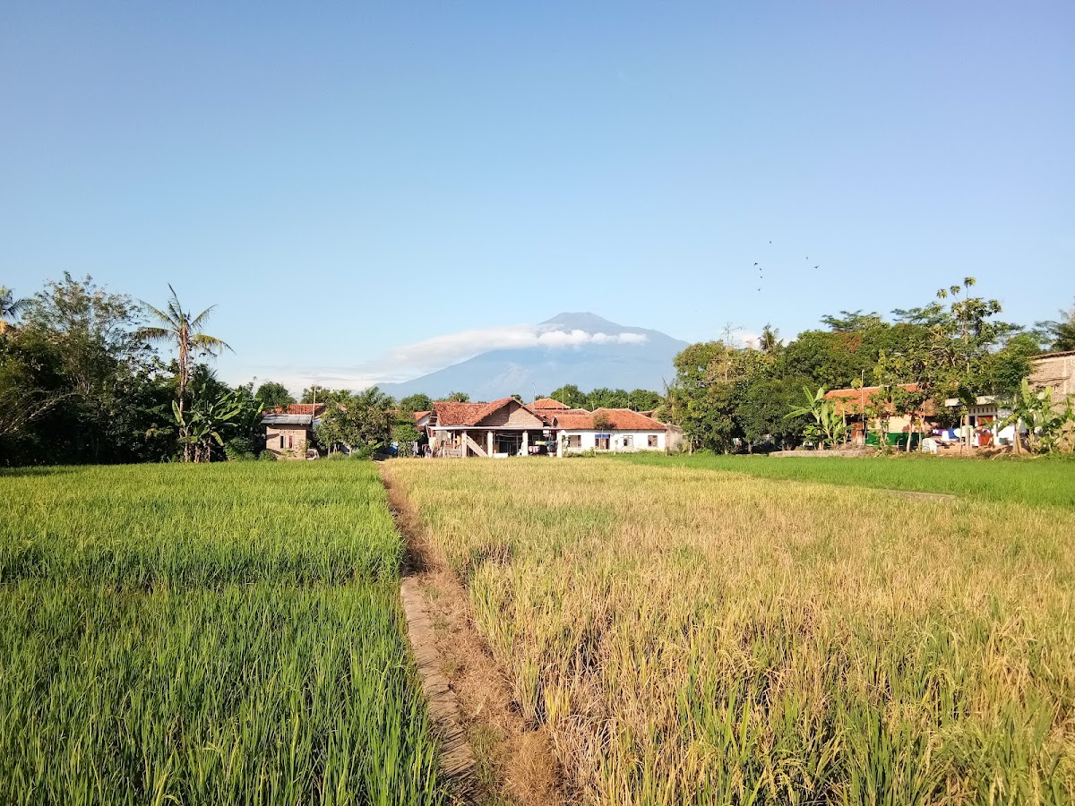 Properti sewa Indonesia