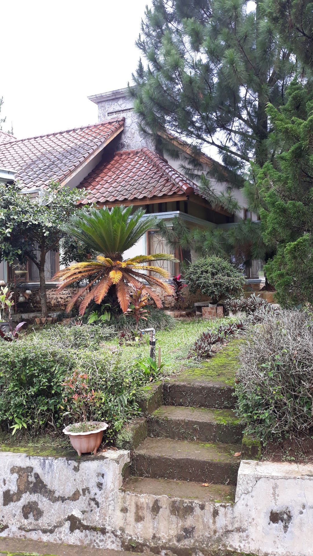 Properti sewa Indonesia