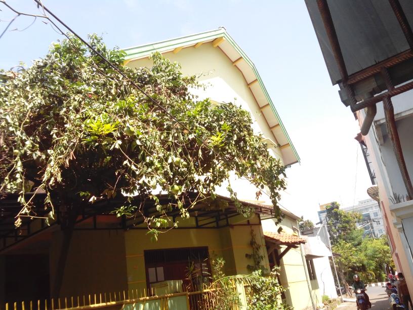 Properti sewa Indonesia