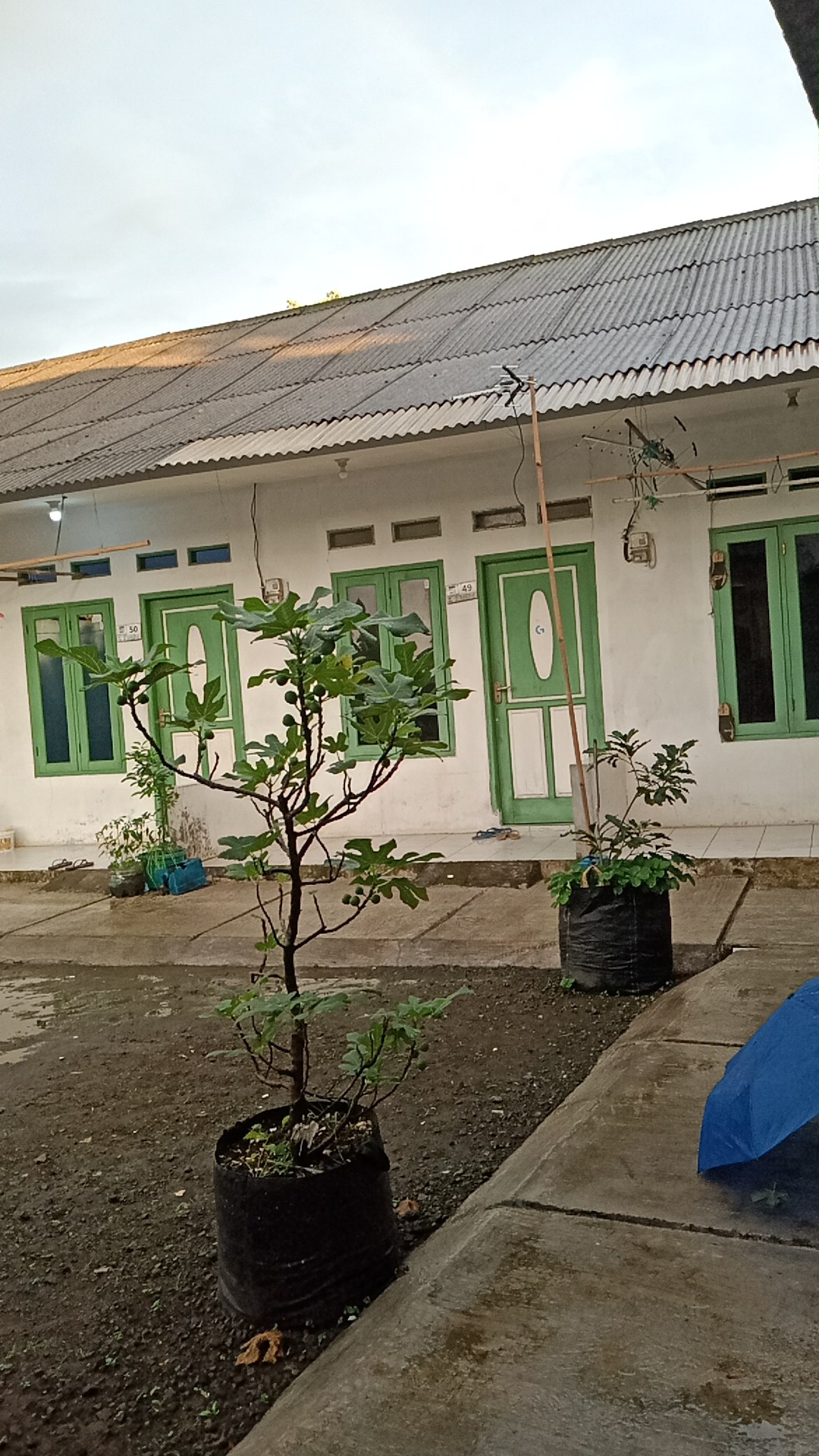 Properti sewa Indonesia