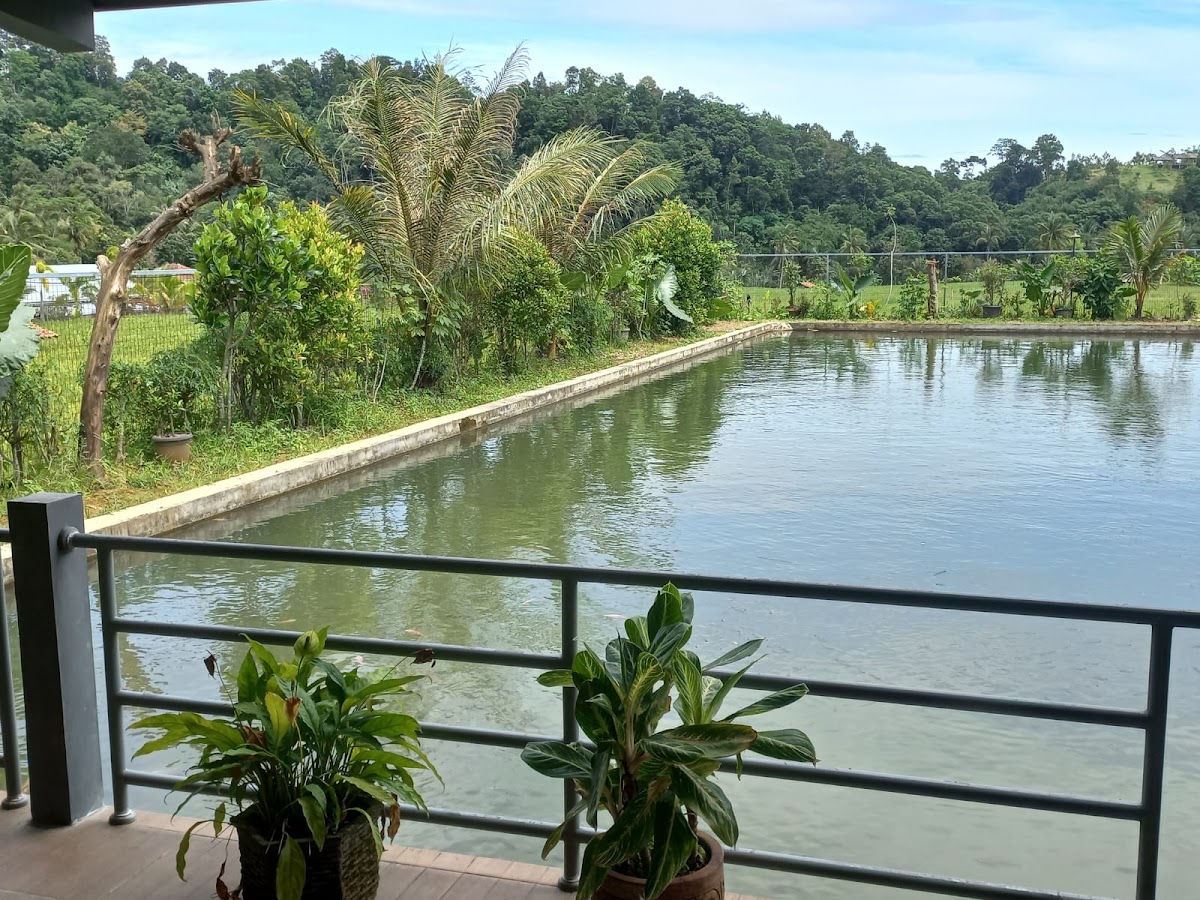 Properti sewa Indonesia