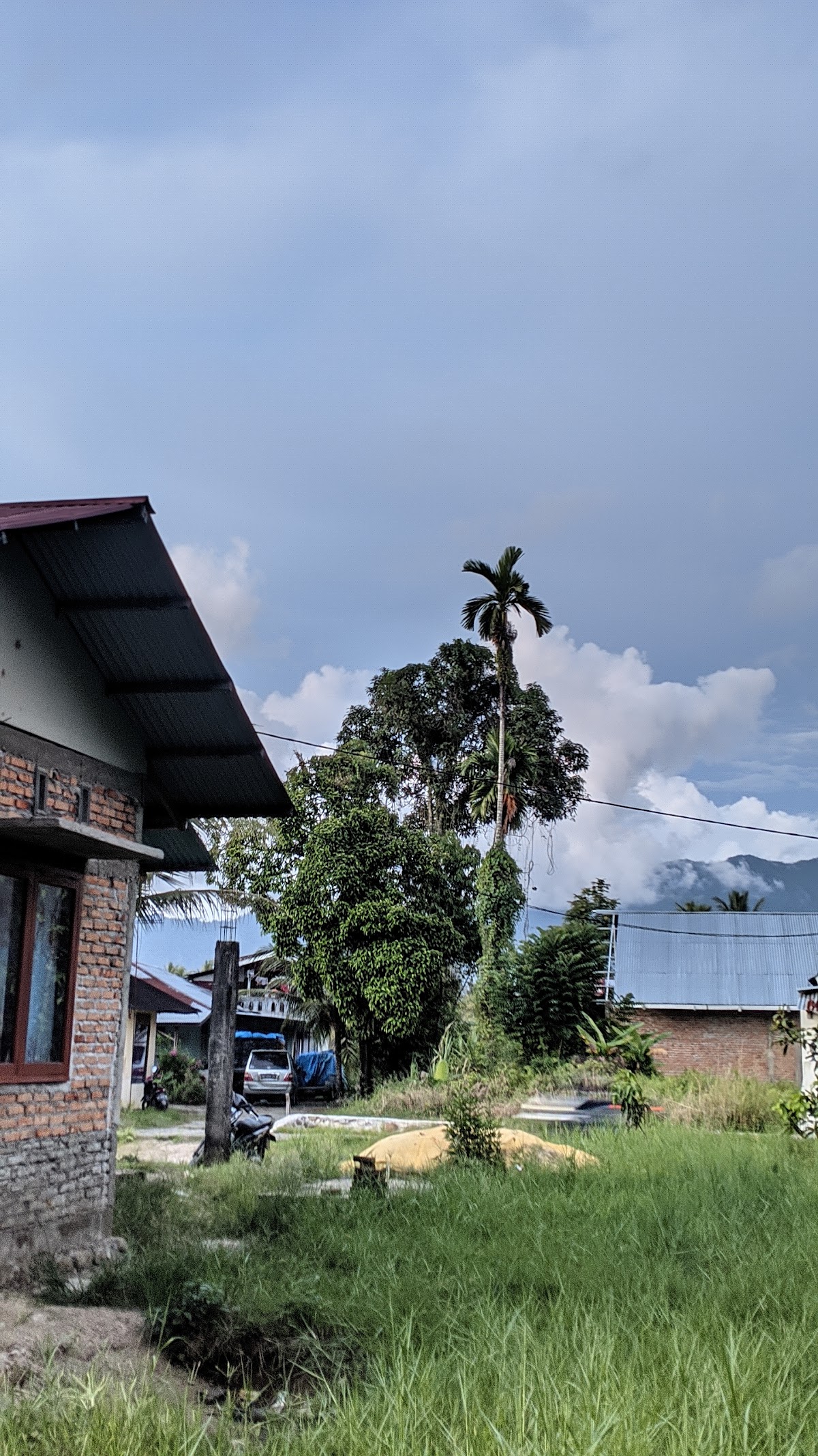 Properti sewa Indonesia