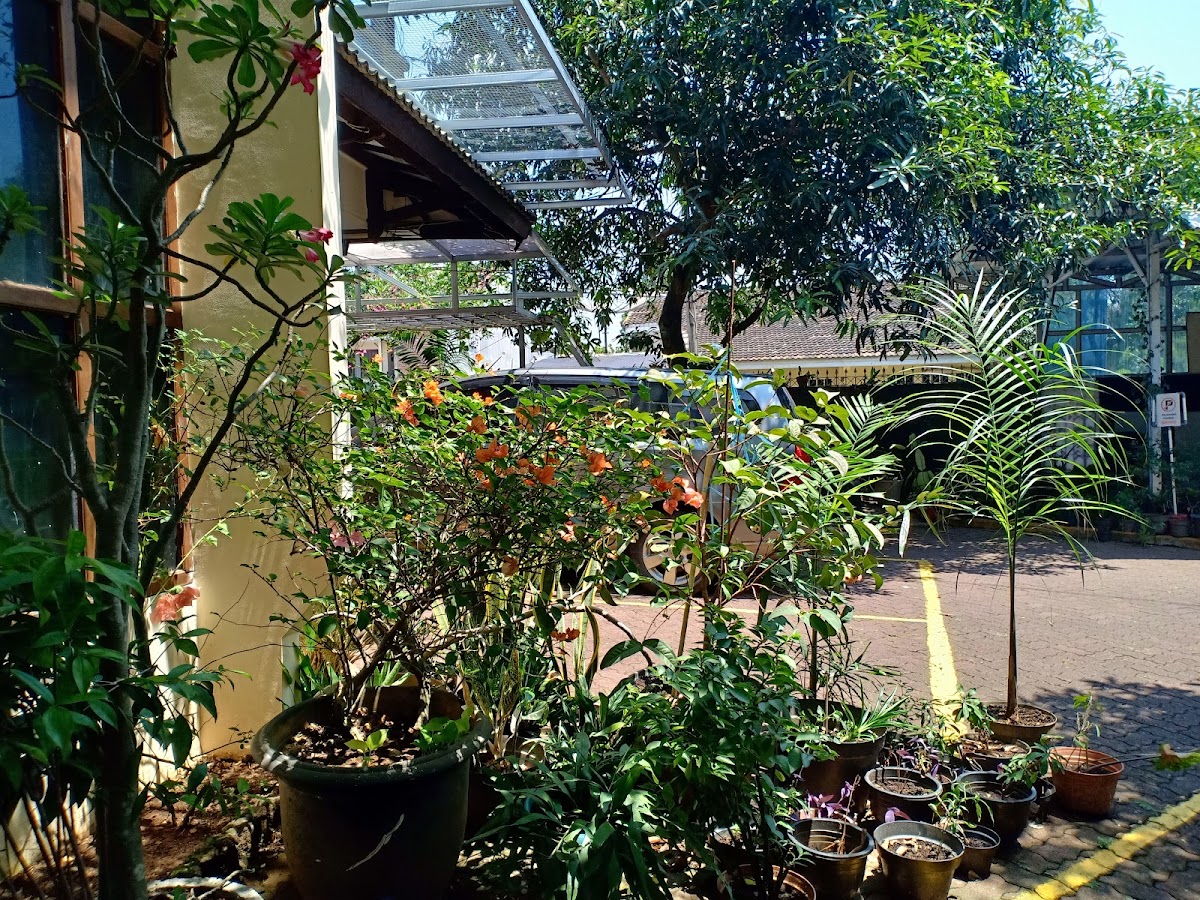 Properti sewa Indonesia