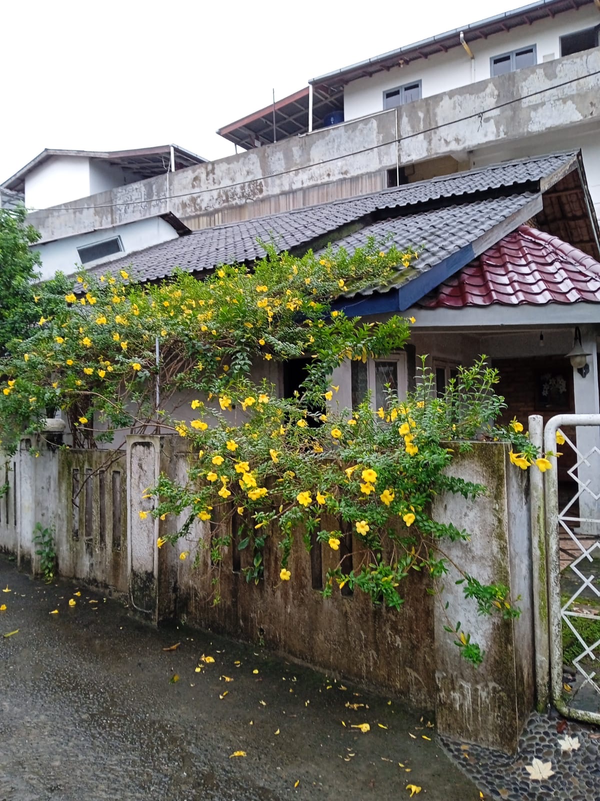 Properti sewa Indonesia