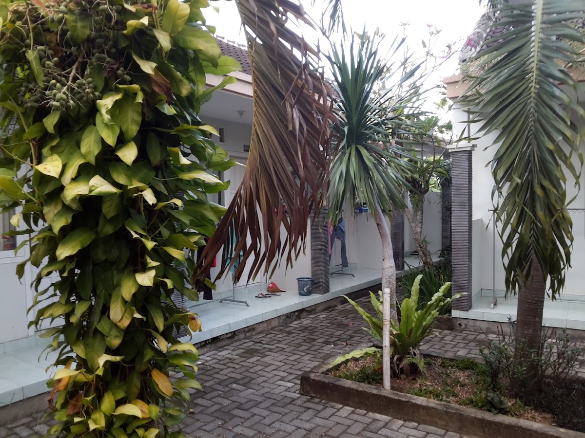 Ayudya Kos Banyuwangi - foto properti sewa