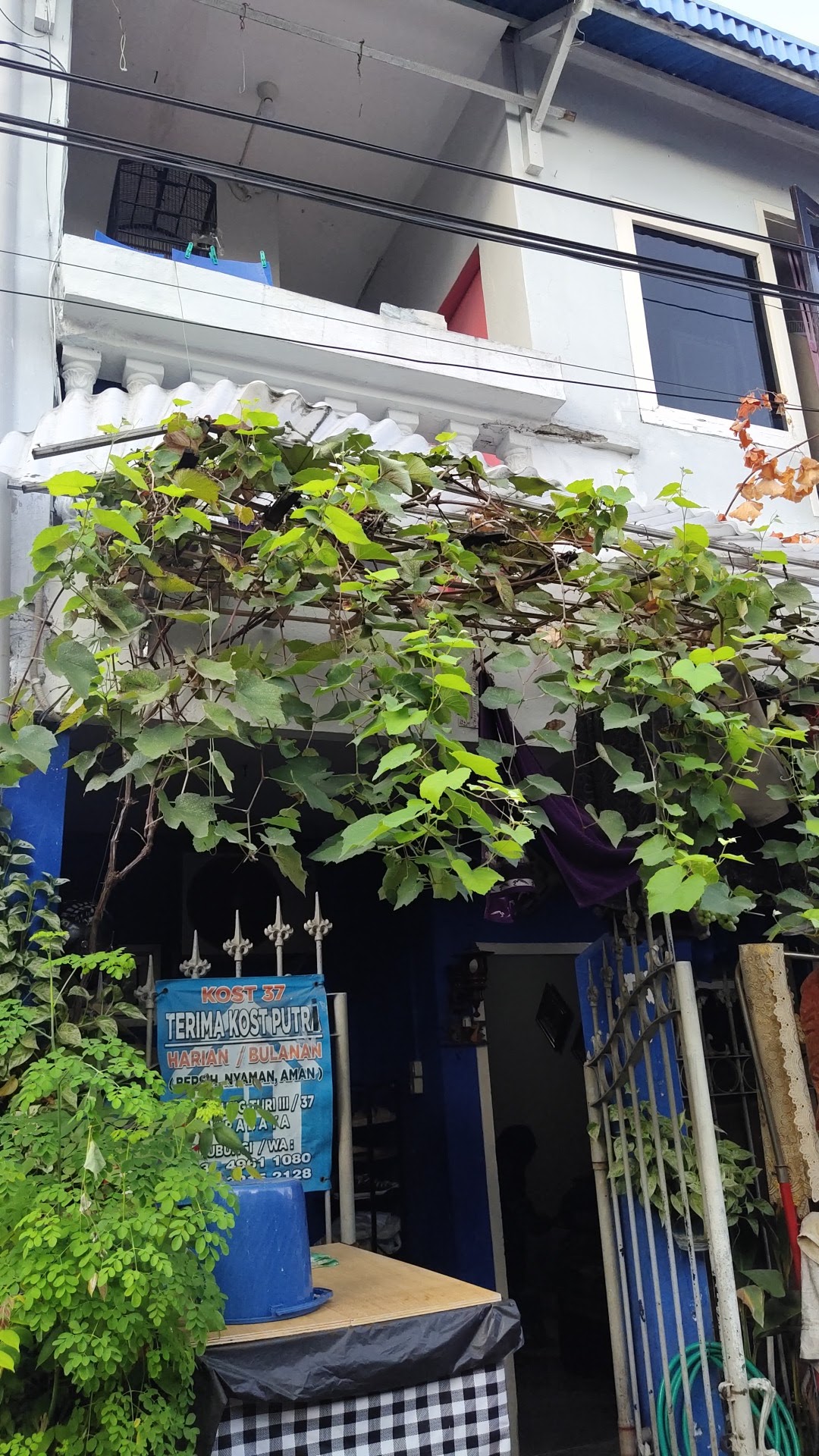 KOST PUTRI 37 SURABAYA — kos di surabaya