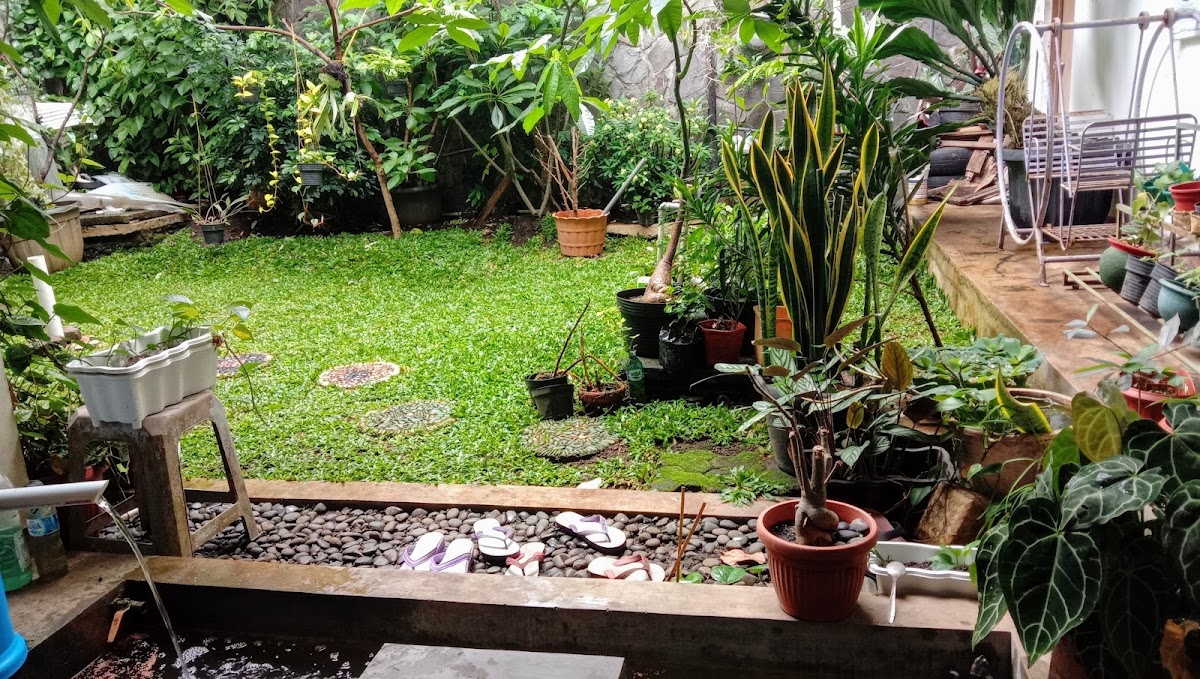 Lucky Kost