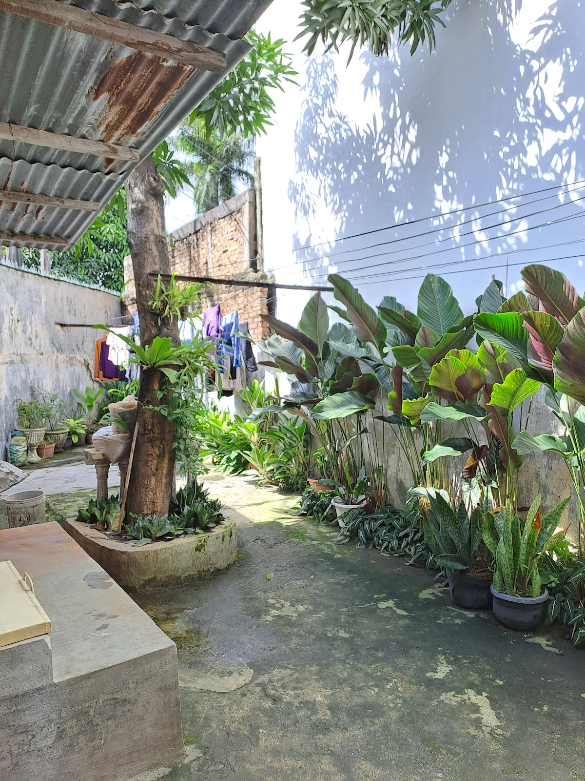 Properti sewa Indonesia