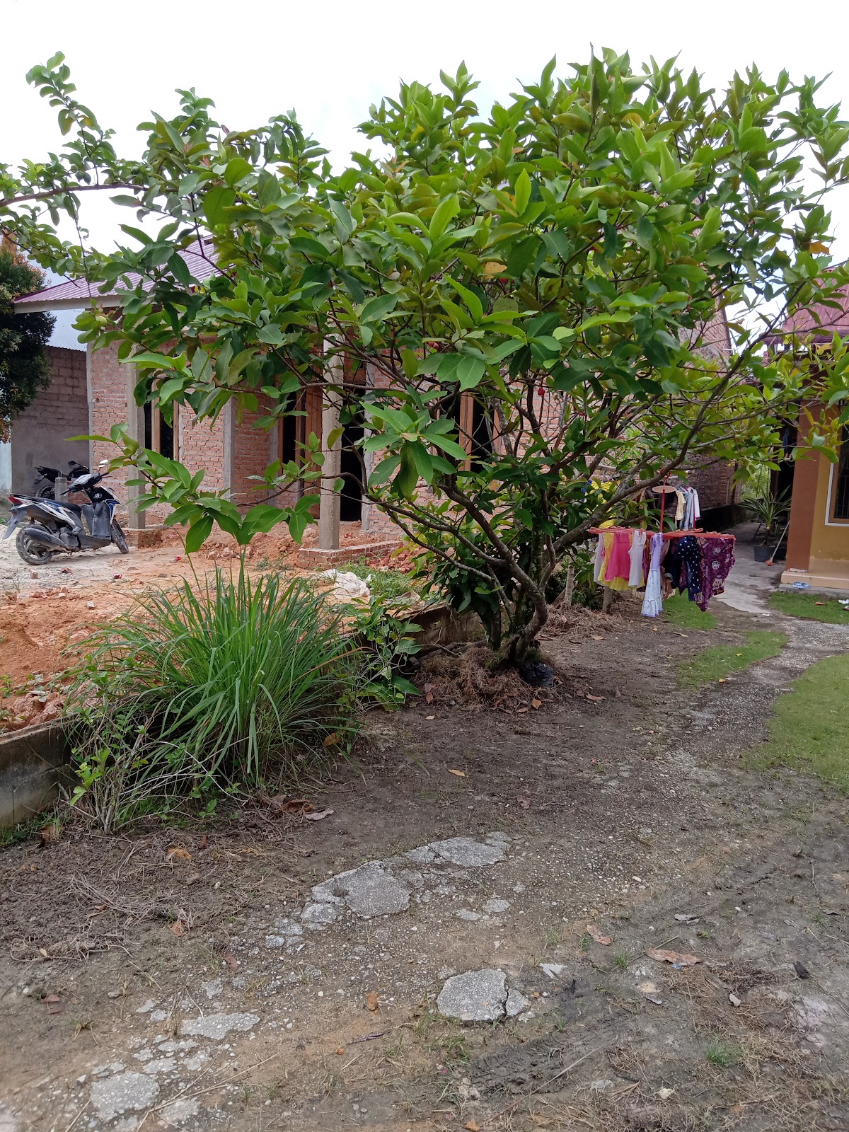 Properti sewa Indonesia