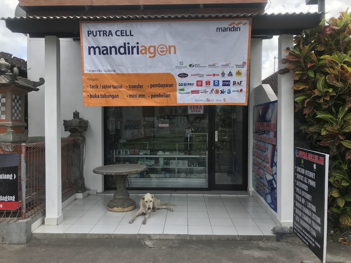 PUTRA CELLULAR CANGGU — kos di bali