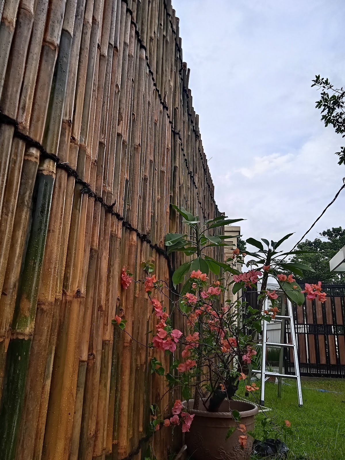 Properti sewa Indonesia