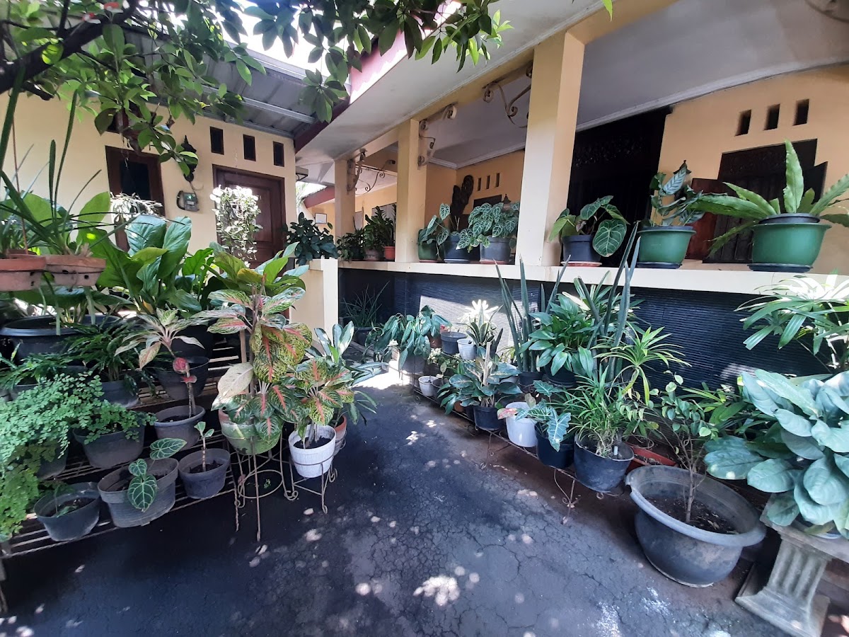 Properti sewa Indonesia