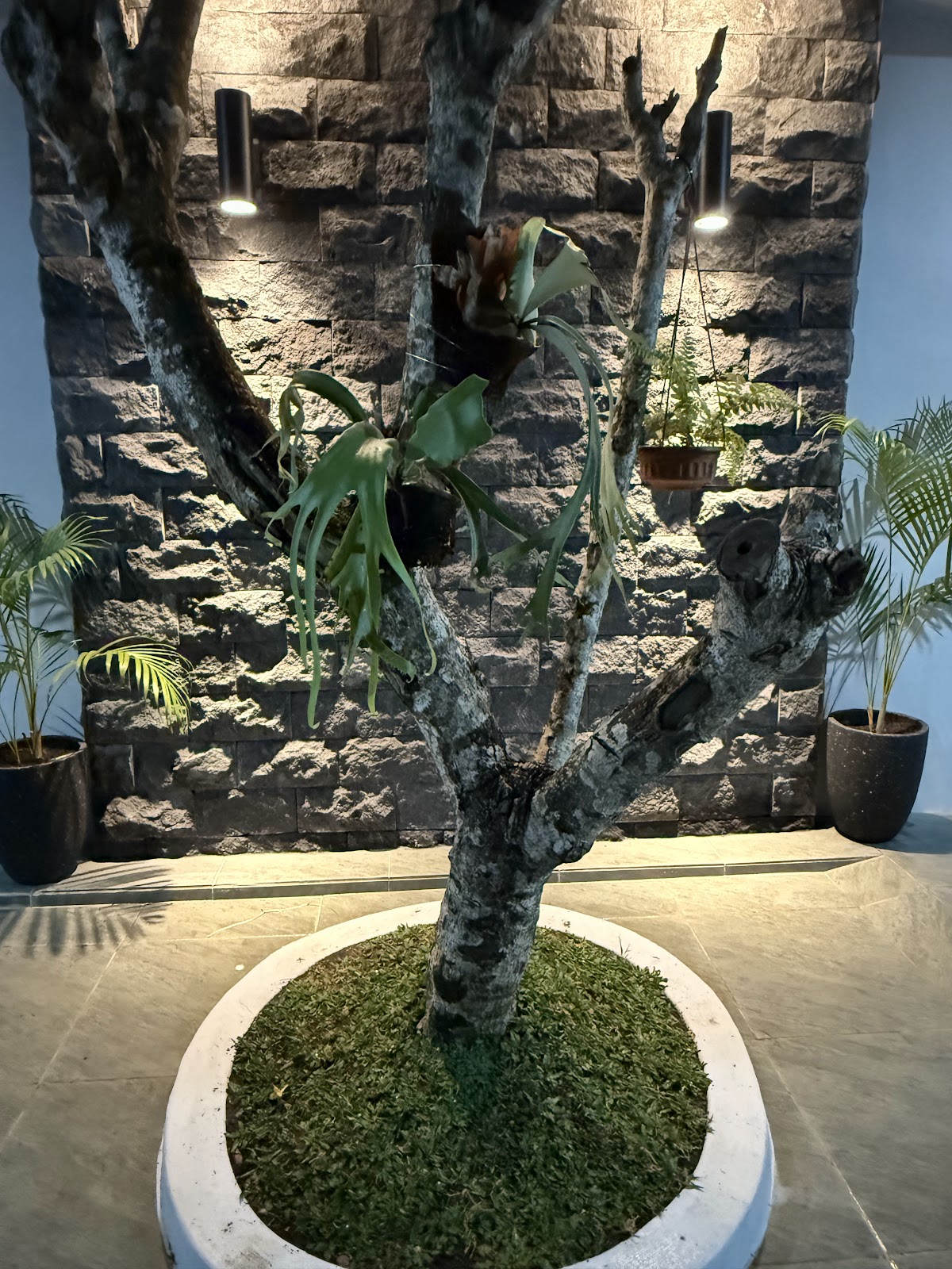 Properti sewa Indonesia