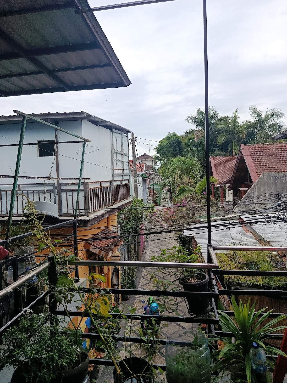 Properti sewa Indonesia