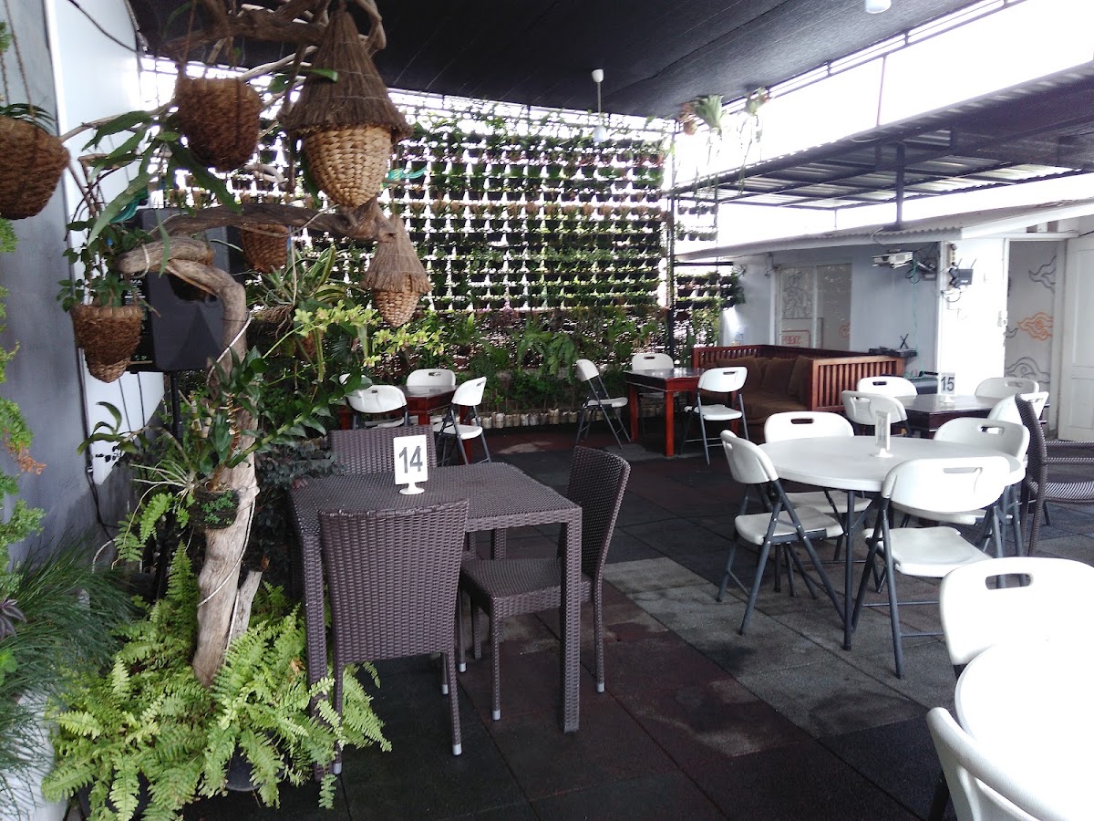 New Social Palace Cafe - foto properti sewa