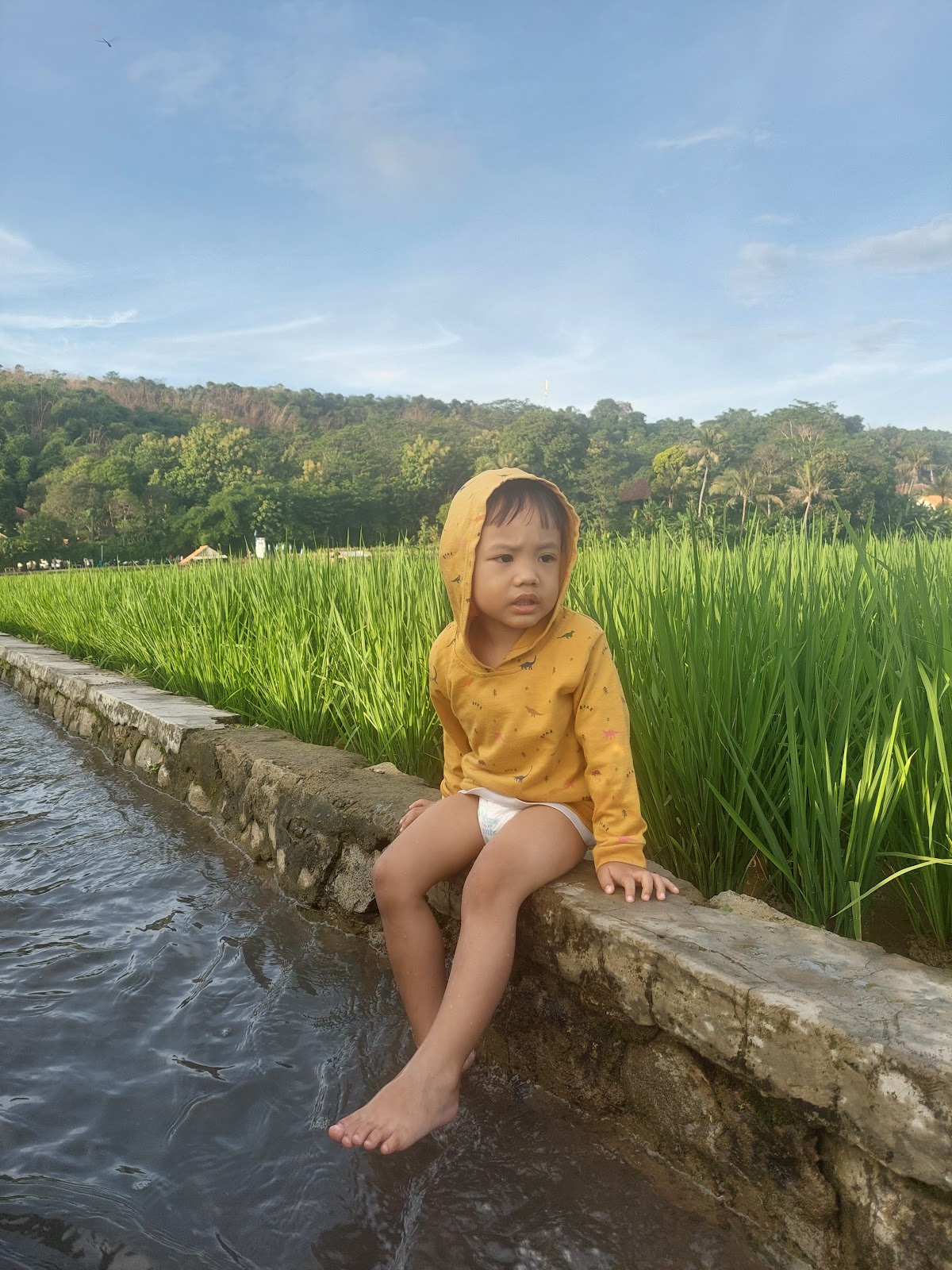 Properti sewa Indonesia