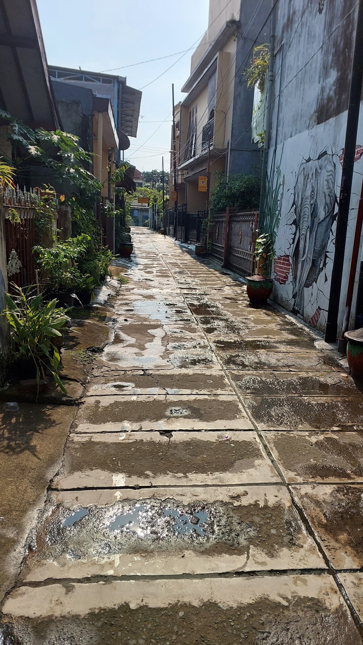 Properti sewa Indonesia