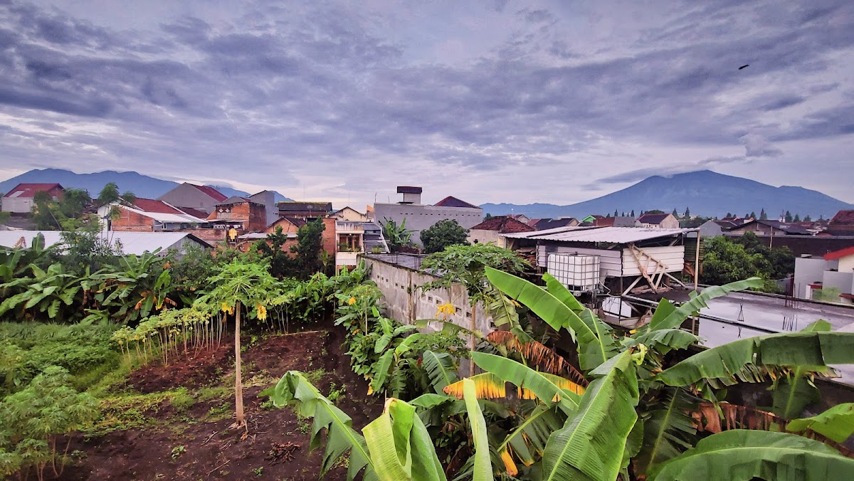 Properti sewa Indonesia