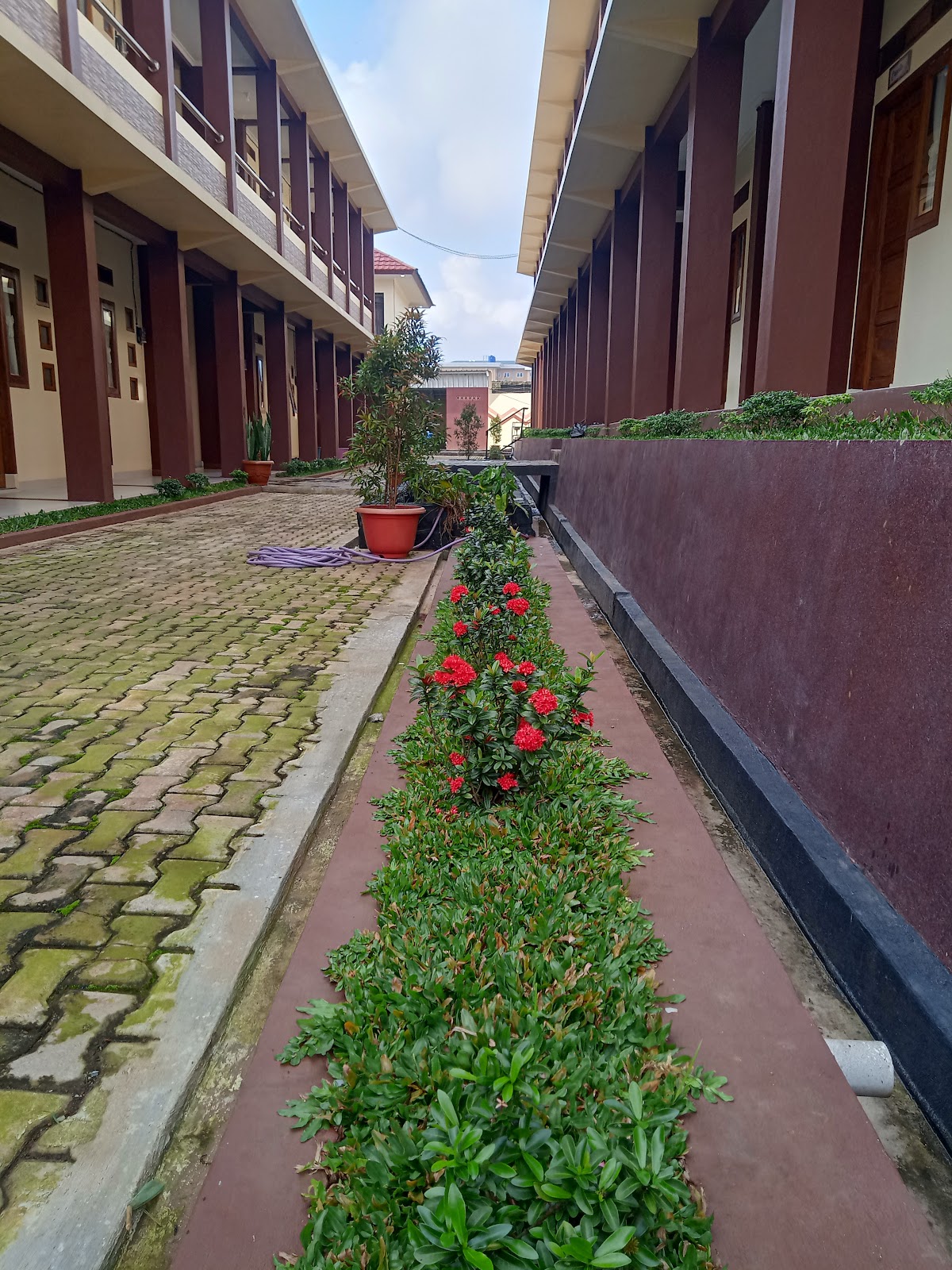 Properti sewa Indonesia